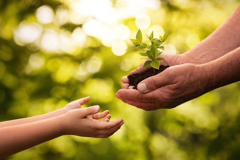Lời cảm ơn khi nhận quà thể hiện sự chân thành, ấm áp trong không gian nội thất gia đình